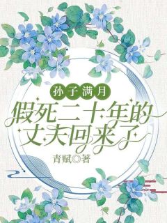 《孙子满月，假死二十年的丈夫回来了》小说章节列表在线试读 秀兰林成华小说阅读