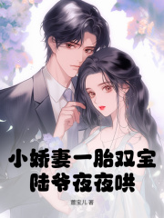 小娇妻一胎双宝，陆爷夜夜哄！全文免费阅读 叶声声陆时宴小说《小娇妻一胎双宝，陆爷夜夜哄！》章节精彩章节