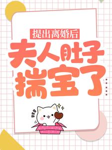 《提出离婚后，夫人肚子揣宝了》小说章节精彩阅读 夏如烟容琛小说全文