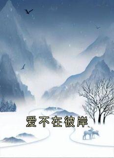 《爱不在彼岸》小说全文精彩章节免费试读（夏鸢沈驰牧）