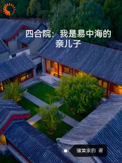 四合院：我是易中海的亲儿子主角易平安桂花全文精彩内容在线试读