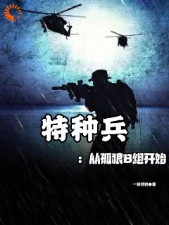 《特种兵：从孤狼B组开始》小说章节列表免费试读 莫一张小军小说全文