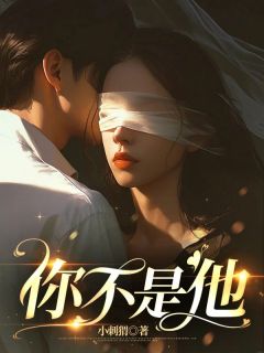 《你不是他》白雪沈宇小说精彩内容在线阅读