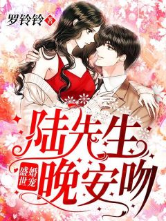 《盛世婚宠：陆先生，晚安吻！》苏绵陆知隽大结局免费试读