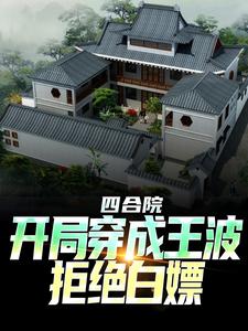 四合院：从给傻柱十个大比兜开始主角王波雨水全文章节在线阅读