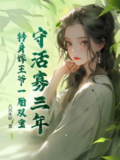 《守活寡三年，转身嫁王爷一胎双宝》小说全文免费试读 《守活寡三年，转身嫁王爷一胎双宝》最新章节列表