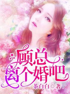 《顾总，离个婚吧！》小说全文精彩章节在线阅读（慕楠雪顾北凉）