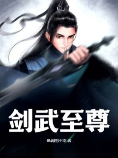 《剑武至尊》杨武杨玲大结局在线阅读