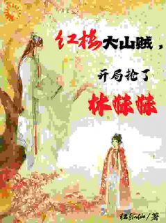 《红楼大山贼，开局抢了林妹妹》大结局免费阅读 《红楼大山贼，开局抢了林妹妹》最新章节目录