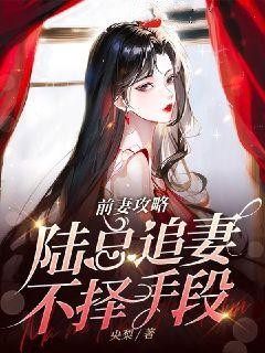 《前妻攻略，陆总追妻不择手段》完结版在线阅读 《前妻攻略，陆总追妻不择手段》最新章节目录