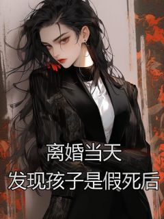 《离婚当天，发现孩子是假死后》小说完结版精彩试读 沈放苏念小说全文