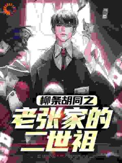 《柳条胡同之老张家的二世祖》小说免费阅读 张天明张天禹小说大结局免费试读