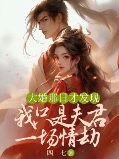 大婚那日才发现，我只是夫君一场情劫by四七 云月云祁免费完整版