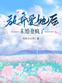 《放弃爱她后，未婚妻疯了》陈晴江屿白章节目录精彩阅读