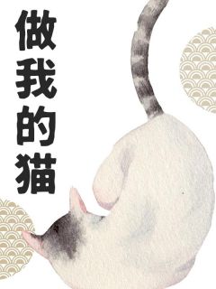 沈郁沈鸢小说 做我的猫(沈郁沈鸢)小说阅读