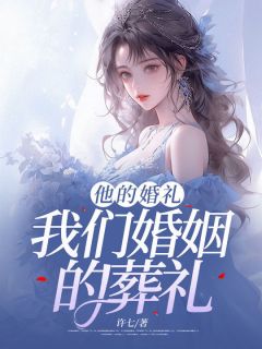 《他的婚礼，我们婚姻的葬礼》陈乐珊宋琛章节精彩阅读