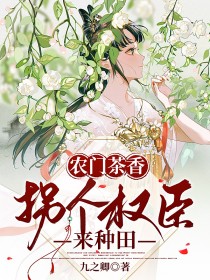 《农门茶香，拐个权臣来种田》小说章节列表在线阅读 唐琳唐南小说全文