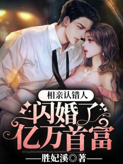 《相亲认错人，闪婚了亿万首富》夏润音冷司夜章节精彩阅读