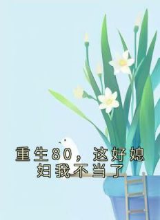 重生80，这好媳妇我不当了免费阅读 叶素心陆自景的小说免费试读