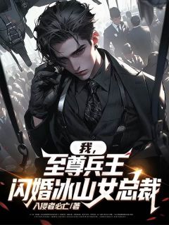 《我，至尊兵王，闪婚冰山女总裁？》小说完结版精彩试读 莫辰冷凝月小说全文