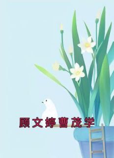 顾文婷曹茂学小说免费阅读 顾文婷曹茂学小说大结局在线阅读