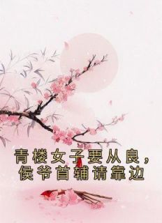 赵宜宁徐宴安by青青紫紫的荒古龙族 青楼女子要从良，侯爷首辅请靠边免费完整版