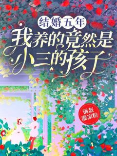 《结婚五年，我养的竟然是小三的孩子》小说大结局免费阅读 林念云小慧小说全文