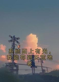 《系统面上有光，我能苟到天荒地老》小说章节列表免费阅读 陈武洛玉衡小说阅读