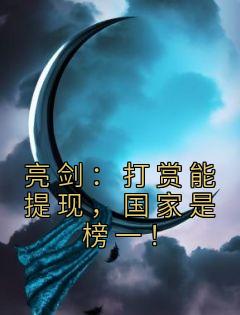 《亮剑：打赏能提现，国家是榜一！》陆川李云龙章节列表免费试读