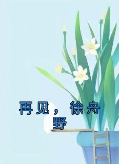 《再见，徐舟野》小说章节目录在线试读 周茉徐舟野小说全文