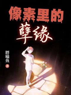 像素里的孽缘全文免费阅读(韩元元魏宁) 完结版