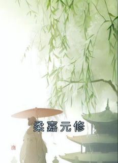 《柔嘉元修》小说章节目录免费阅读 柔嘉萧元昭小说阅读