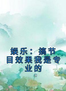 《娱乐：搞节目效果我是专业的》全集免费在线阅读（苏洵苏志强）