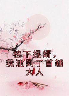 榜下捉婿，我逮到了首辅大人徐清安沈燕安 榜下捉婿，我逮到了首辅大人全文阅读