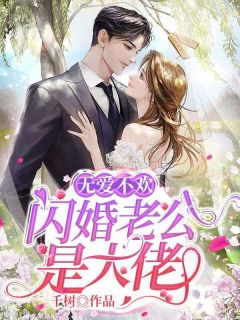 《无爱不欢：闪婚老公是大佬》(颜书菘蓝薄夙)小说阅读by千树