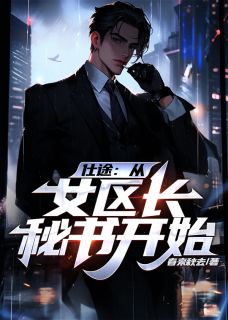 仕途：从女区长秘书开始