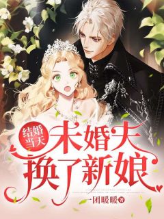 《结婚当天，未婚夫换了新娘》小说在线试读 《结婚当天，未婚夫换了新娘》最新章节目录