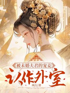 《被未婚夫君的宠妾认作外室》小说章节目录精彩阅读 沈轻舟萧沅漪小说全文